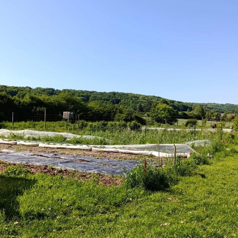 Terrain de loisirs - 200 m²