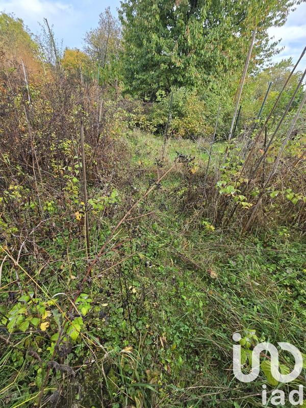 Maison de village - 140 m² - 6 pièces