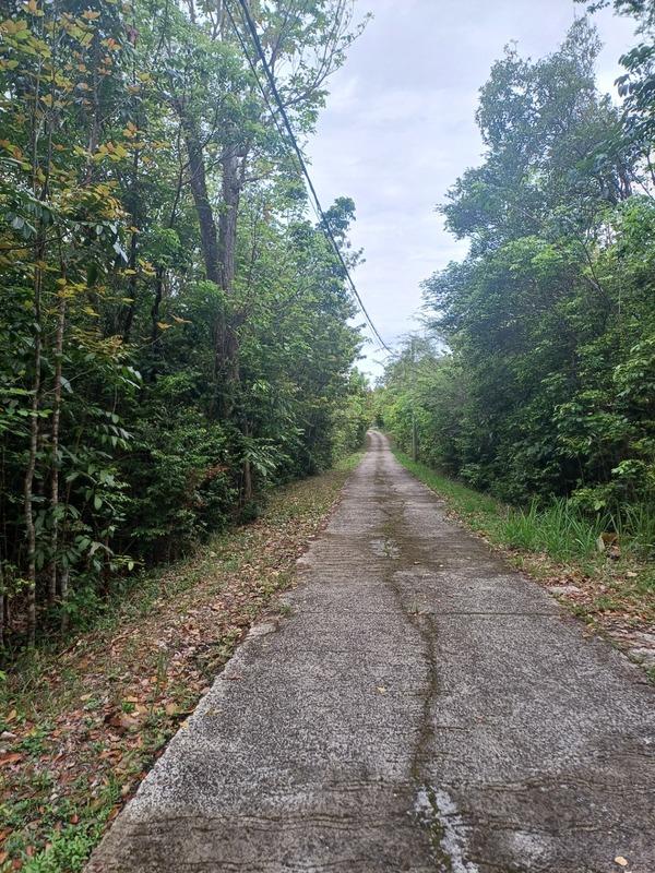 Terrain constructible - 6 000 m²