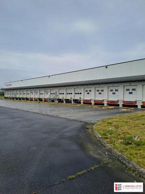 Entrepôt - 3 206 m²