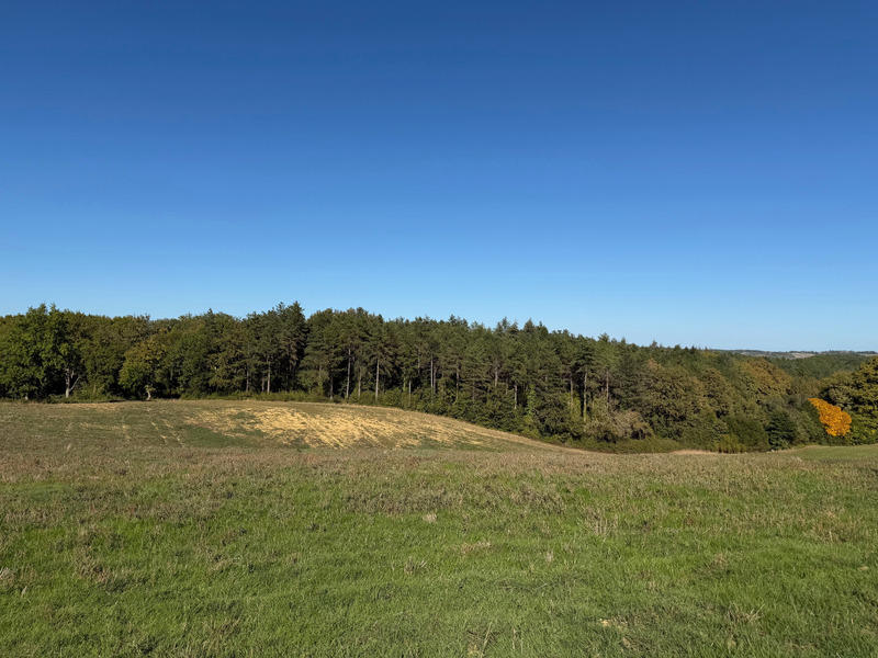 Terrain agricole - 490 712 m²