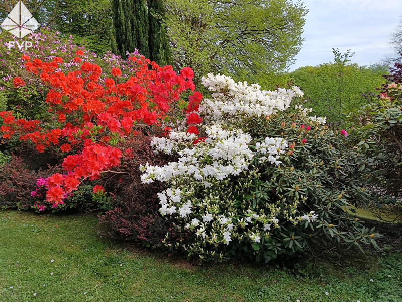 Maison - 153 m² - 5 pièces