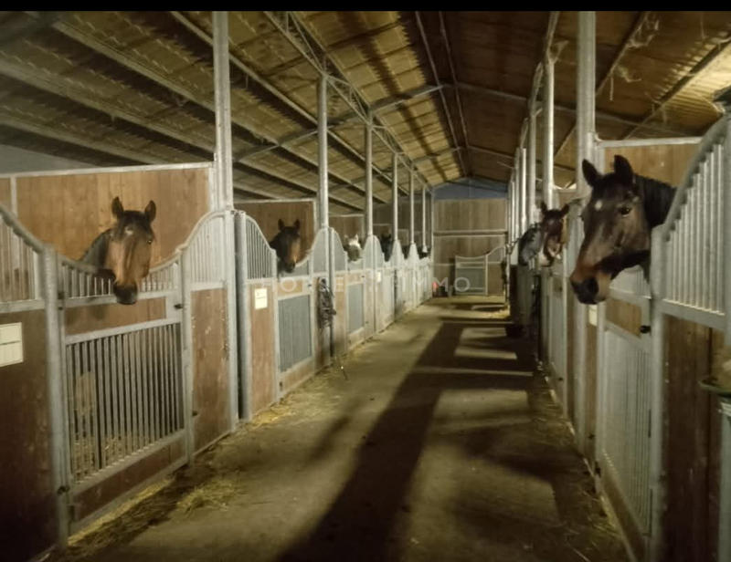 Maison - 270 m² - 15 pièces