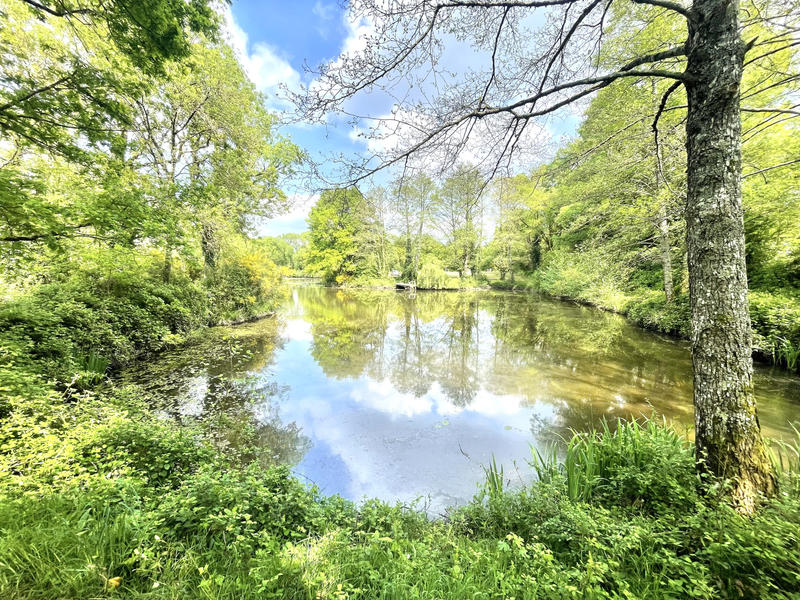 Terrain de loisirs - 8 300 m²