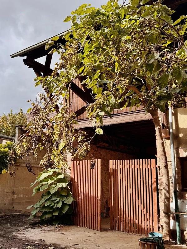 Maison - 312 m² - 12 pièces