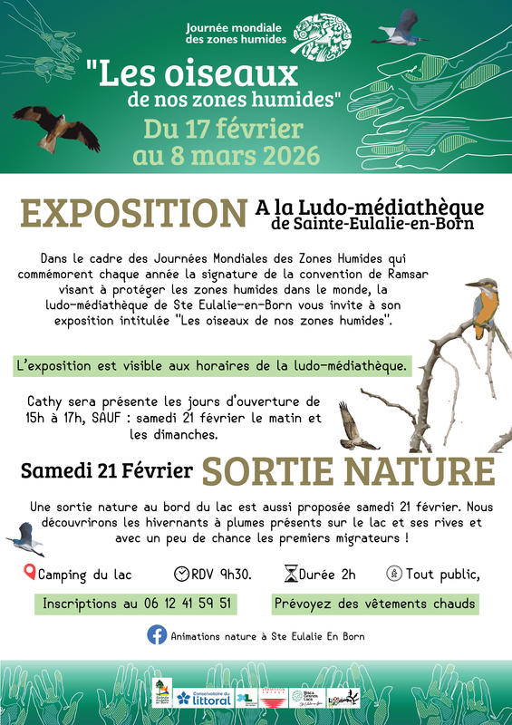 Eposition "Les oiseaux de nos zones humides"