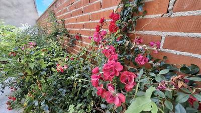 Maison - 96 m² - 5 pièces