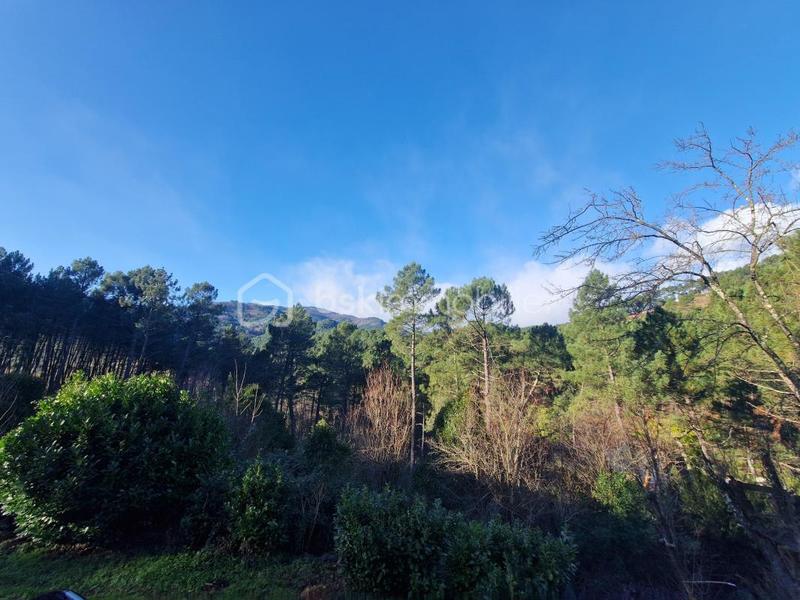 Immeuble - 214 m² - 10 pièces