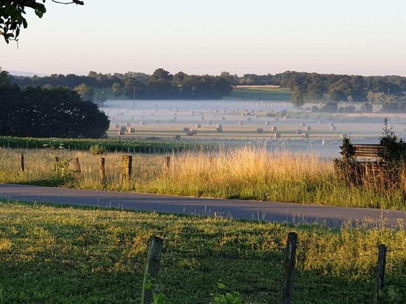 Maison - 470 m² - 12 pièces