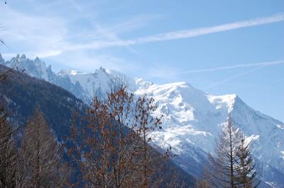 Local d'activités - 360 m² - 10 pièces