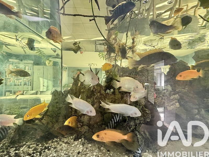 Maison - 217 m² - 8 pièces