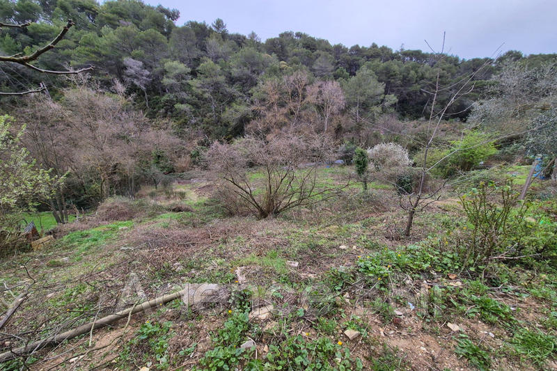 Châlet - 43 m² - 2 pièces