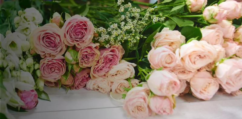 L'Essence des Sèves