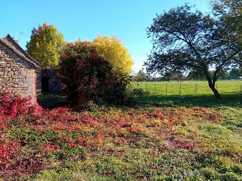 Maison - 115 m² - 6 pièces