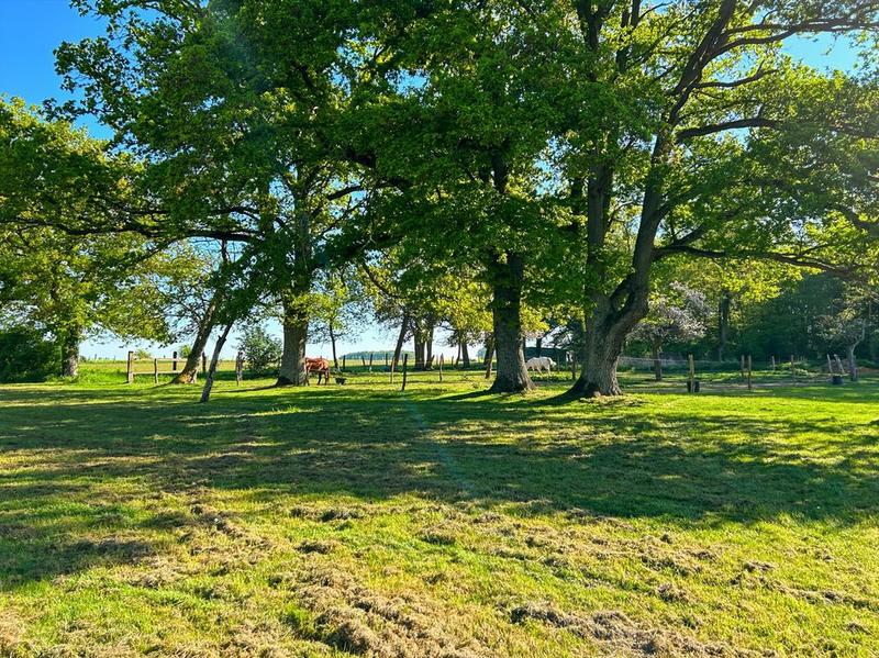 Maison de domaine équestre - 520 m² - 7 pièces