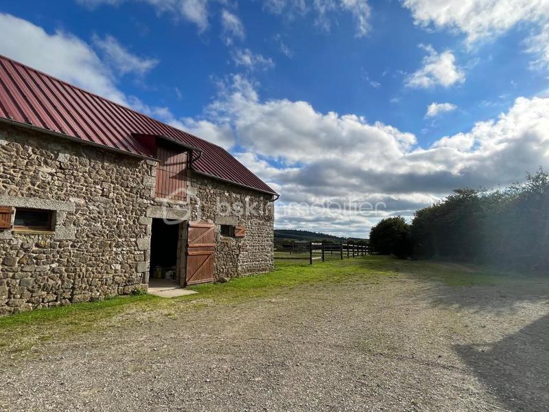 Propriété - 230 m² - 7 pièces