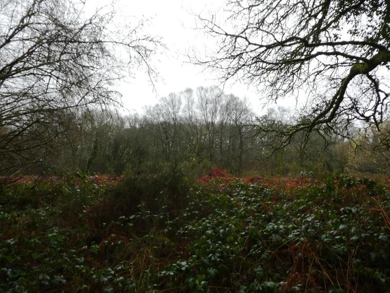 Terrain agricole - 13 922 m²