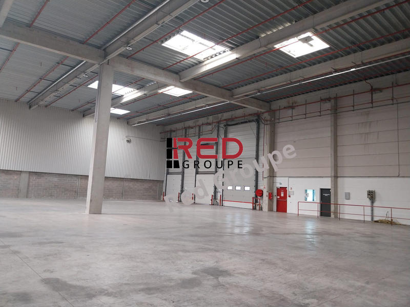 Entrepôt - 1 265 m²