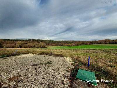 Terrain - 1 151 m²