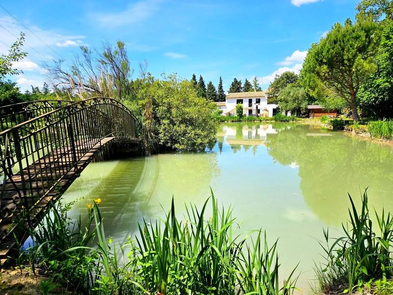 Maison - 230 m² - 8 pièces