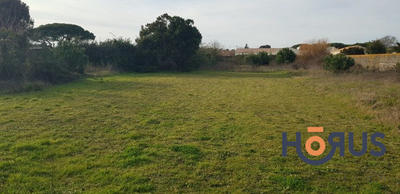 Viager - Terrain - 543 m²