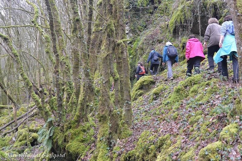 Trail des gorges de l'Auvézère