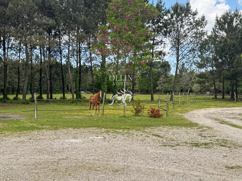 Propriété - 203 m² - 7 pièces