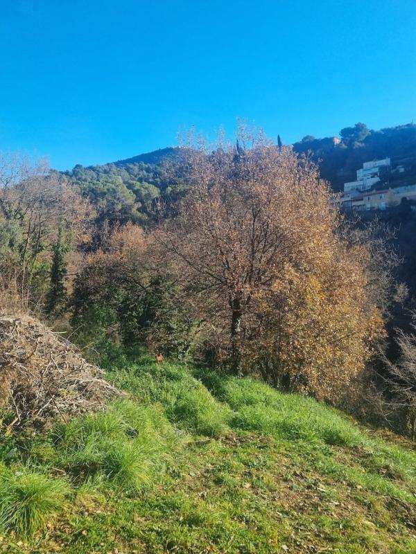 Terrain constructible - 2 920 m²