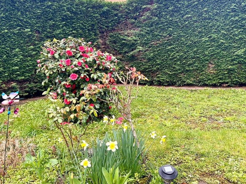 Maison - 81 m² - 4 pièces