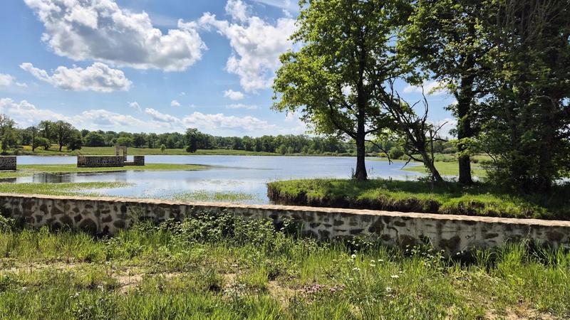 Terrain - 171 986 m²