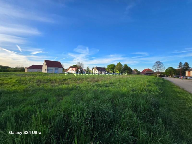 Terrain constructible - 1 433 m²