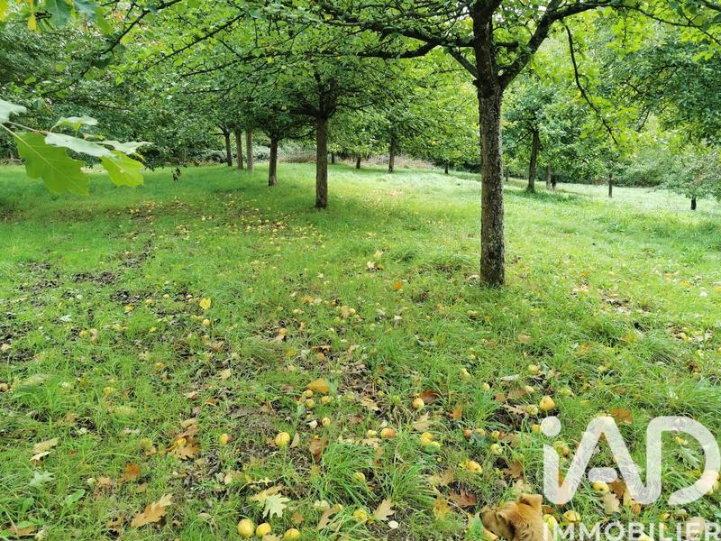 Terrain agricole - 15 000 m²