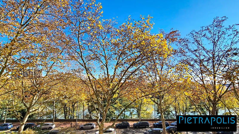 Appartement - 53 m² - 2 pièces