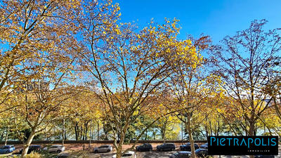 Appartement - 53 m² - 2 pièces