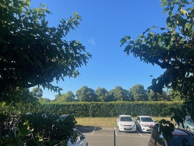 Appartement - 81 m² - 3 pièces