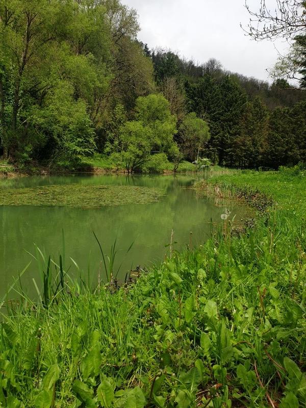 Terrain de loisirs - 3 200 m²