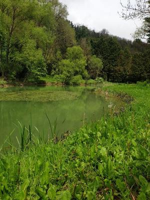 Terrain de loisirs - 3 200 m²