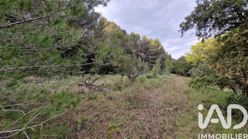 Terrain agricole - 7 260 m²