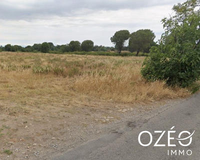 Terrain agricole - 10 687 m²