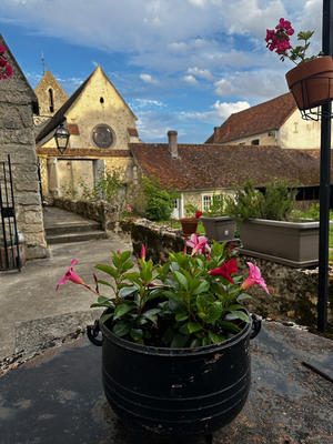 Propriété - 380 m² - 13 pièces