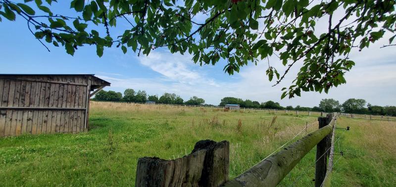 Maison - 126 m² - 5 pièces