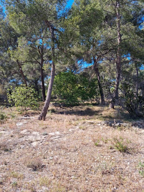 Terrain constructible - 1 058 m²
