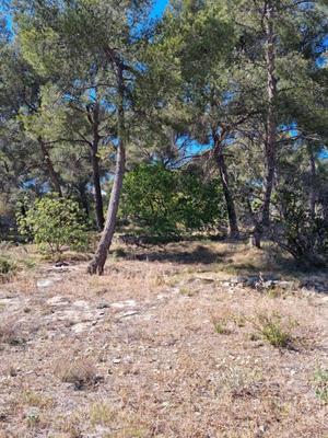 Terrain constructible - 1 058 m²