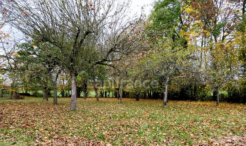 Maison de campagne - 70 m² - 5 pièces