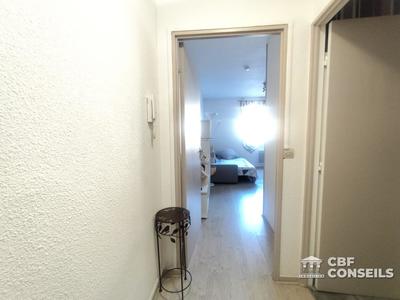 Studio - 24 m² - 1 pièce