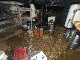 Fonds de commerce - 310 m²