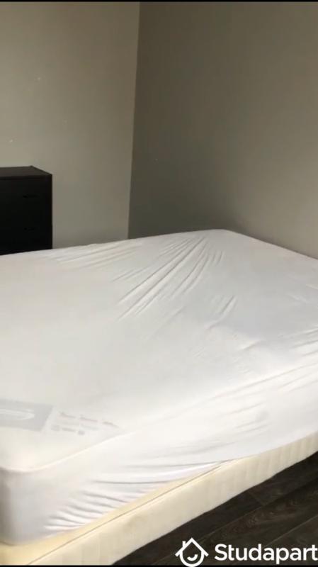 Studio - 40 m² - 2 pièces