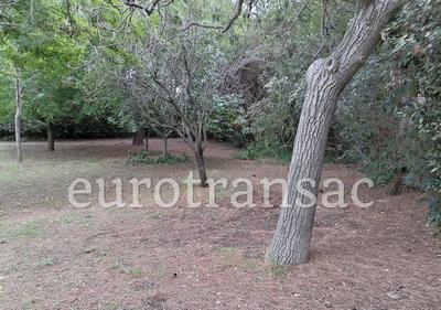Terrain constructible - 1 821 m²
