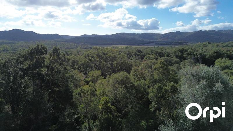 Maison - 239 m² - 8 pièces