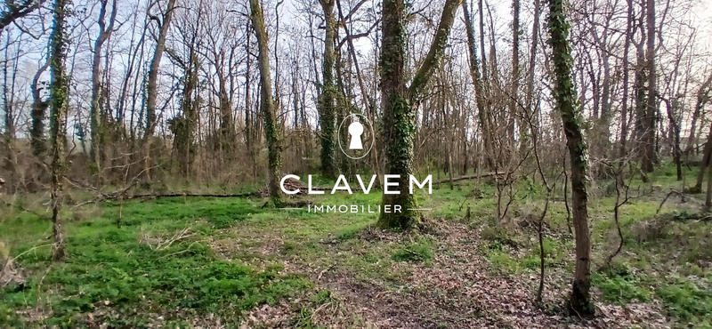 Maison ancienne - 130 m² - 5 pièces